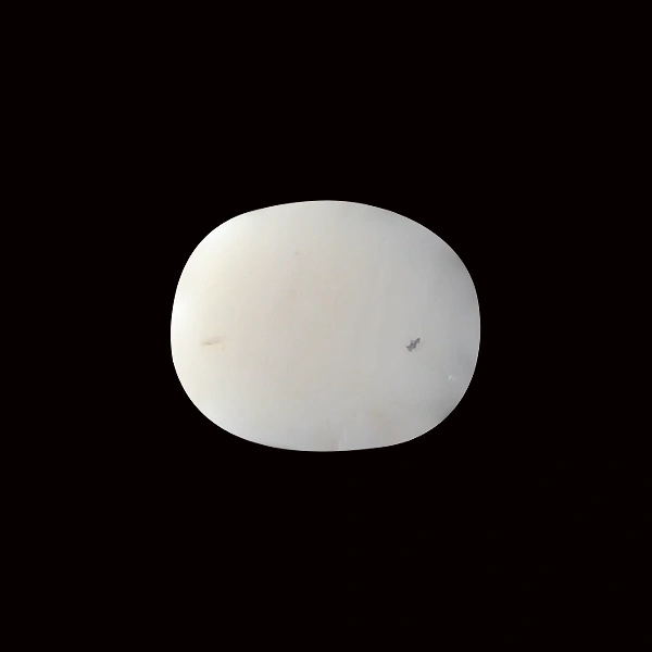 White Coral - 5.41 carats